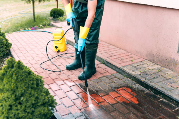 Best Graffiti Removal Services in Richwood, WV