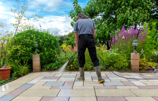 Best Fence Cleaning and Maintenance in Richwood, WV